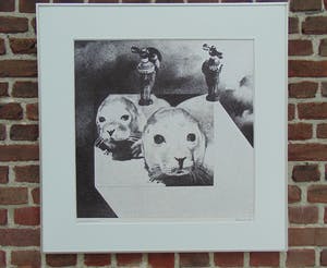 Sjouke Heins - Bij Pieterburen kopen? Bied vanaf 60!