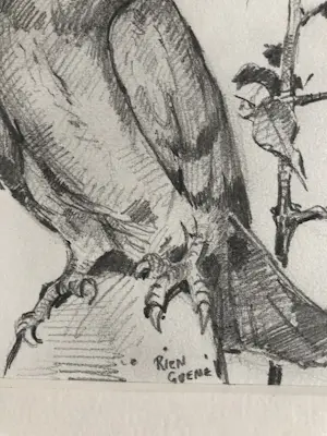 Rien Goené - Duif kopen? Bied vanaf 80!