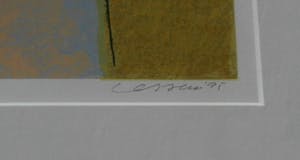 Henk van Vessem - grote zeefdruk - ingelijst kopen? Bied vanaf 59!