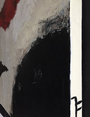 John Foppen - Birds Over Snowland.........# K 04. XL kopen? Bied vanaf 155!