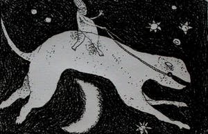 Frank Lodeizen - Ets: Vreugden en Verschikkingen... kopen? Bied vanaf 49!