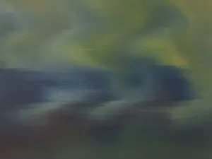 Mark Robert Peters - Radiation-1 kopen? Bied vanaf 1935!