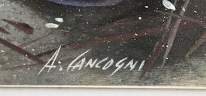 Agostino Cancogni - Conchiglie kopen? Bied vanaf 95!