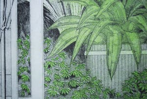 Tiny van der Sar - Erker met planten - grote ets/aquatint - epreuve 3/20 kopen? Bied vanaf 65!