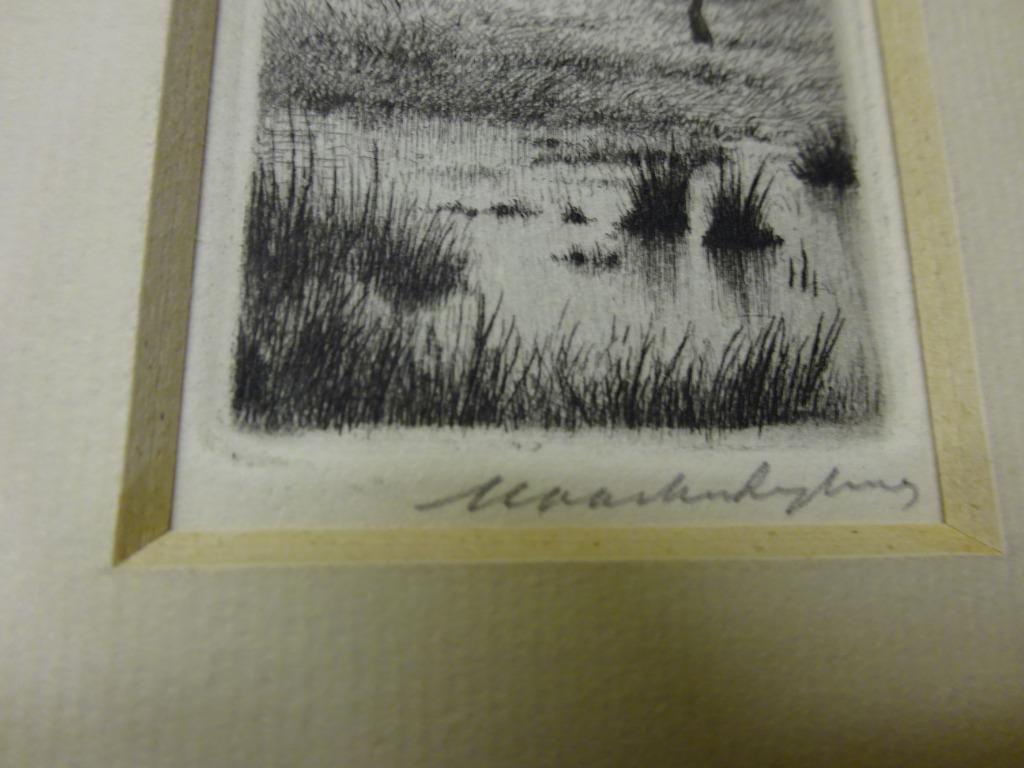 Maarten Langbroek - Boom aan een rivier kopen? Bied vanaf 1!