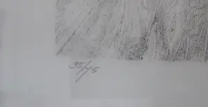 Melle Oldeboerrigter - geen/onbekend kopen? Bied vanaf 80!