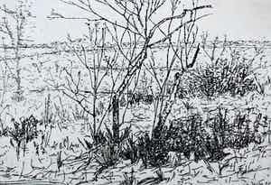 Willem Minderman - ets: Wassenaar(duinen) verkocht voor € 45!