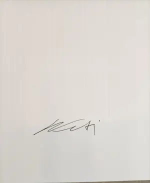 Ai Weiwei - 81 Questions - If an Artist... (incl. CoA) kopen? Bied vanaf 1150!