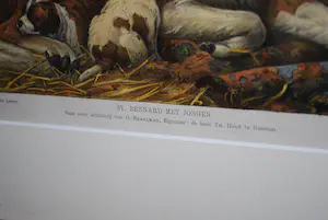 Otto Eerelman - St Bernard met jongen - kleurenlitho 1916 - fraai ingelijst kopen? Bied vanaf 45!