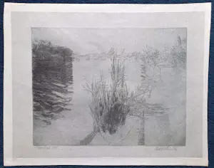 Willem den Ouden - De Waal, ets (1964, kleine oplage) kopen? Bied vanaf 195!
