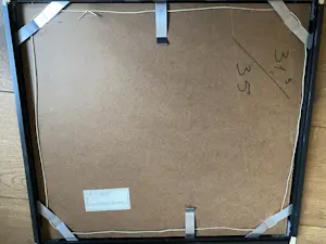 Don Englander - Man met duiven kopen? Bied vanaf 50!