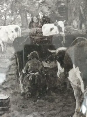 Anton Mauve (sr.) - Koeien melken. Photogravure kopen? Bied vanaf 1!