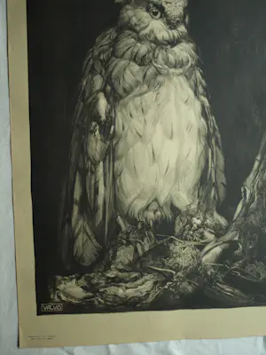 Adriaan van 't Hoff - Lithografische prent , Oehoe – Uitgegeven door De V.AE.V.O. –100x75 cm kopen? Bied vanaf 60!