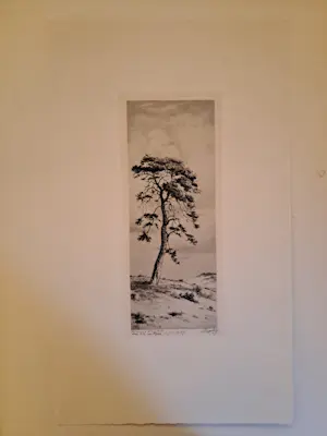 Dirk Harting - 'Boom' kopen? Bied vanaf 20!