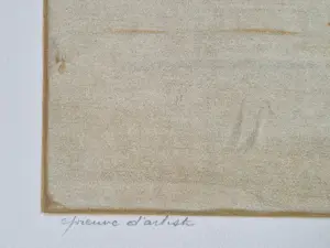 Jean Oosterlynck - Grote 1976 - Epreuve d'Artiste kleurenlitho "oiseaux" potloodgesigneerd kopen? Bied vanaf 49!