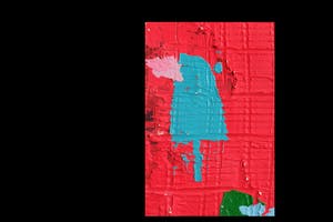 Fred Michiels - Zoo animals have been known to die from stares (3 flamingo's) kopen? Bied vanaf 150!