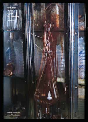 Damien Hirst - Gesigneerd affiche, Romance in the Age of Uncertainty - Ingelijst verkocht voor € 1!