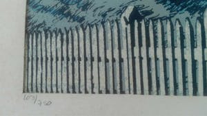 Leo Kools - Ierland duinenkust kopen? Bied vanaf 19!