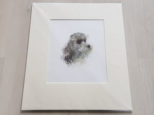 Niet of onleesbaar gesigneerd - Lot van 6 Verschillende prentjes - Gesigneerd kopen? Bied vanaf 1!