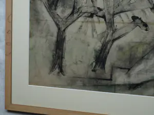 Jan Meijer - Ingelijste gouache , Kurkeikenbomen in Collioure - 1950 kopen? Bied vanaf 200!