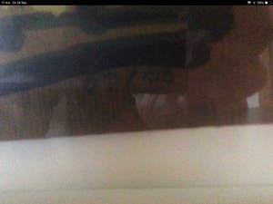 Bart Drost - Mannetje van Dalen op bloemetjes bank kopen? Bied vanaf 30!