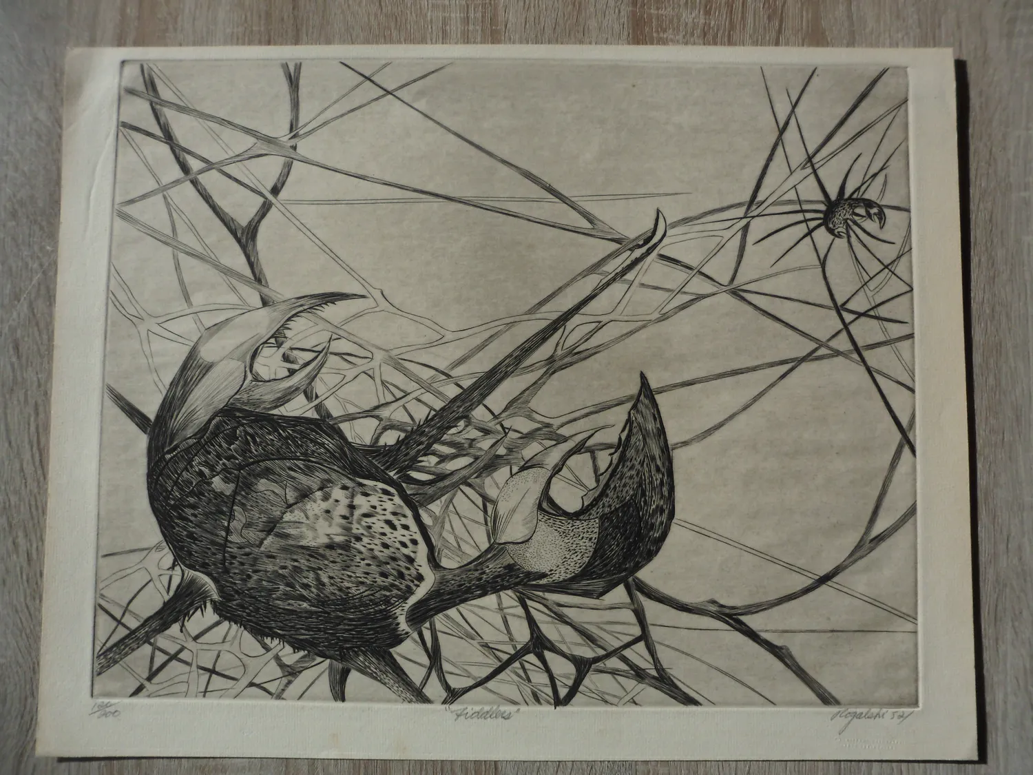 Walter Rogalski (1923)