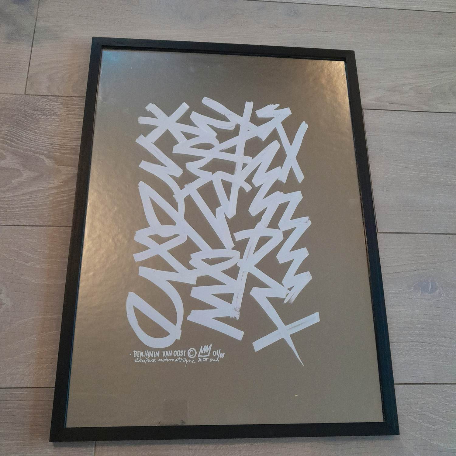 Benjamin Van Oost - SHINING WHITE kopen? Bied vanaf 395!