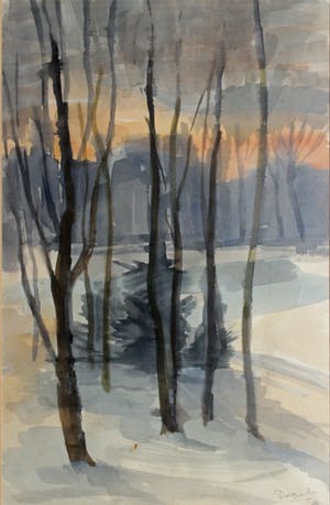 Marie Dagnelie - Oosterpark in de sneeuw kopen? Bied vanaf 95!