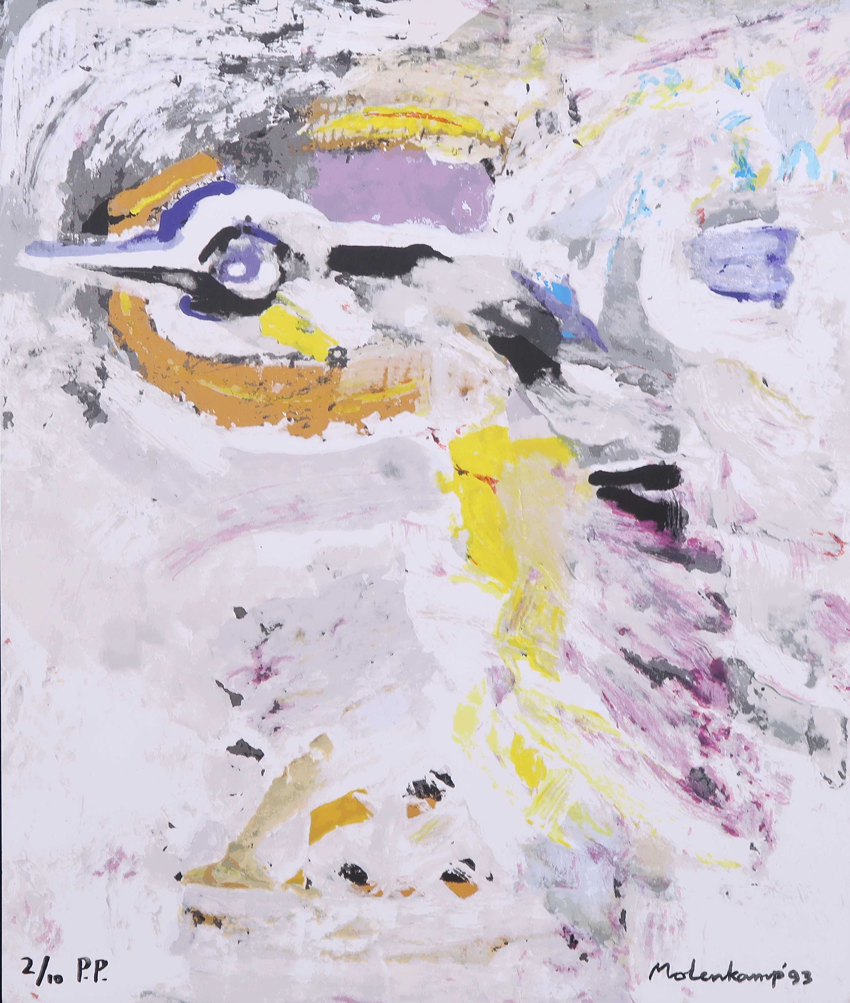 Nico Molenkamp - Zeefdruk, Vogel kopen? Bied vanaf 1!