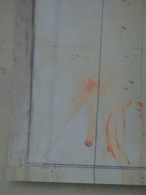Bruno Bruni - FIORE (Kleurenlitho - handgesigneerd) ! Nu laatste keer: vanaf €1 !! kopen? Bied vanaf 1!