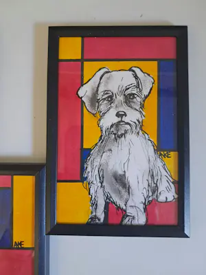 Anke Peddemors - Vierluik honden kopen? Bied vanaf 30!