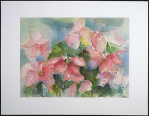 Willie van Haard - Aquarel, Kerstster kopen? Bied vanaf 1!