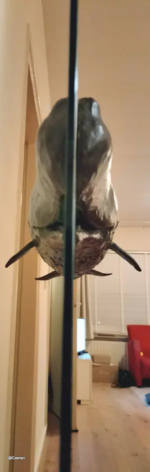 Harro Nikkels - Potvis kopen? Bied vanaf 7000!