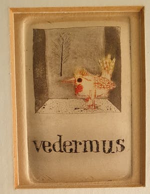 Peter de Leur - Vedermus kopen? Bied vanaf 50!