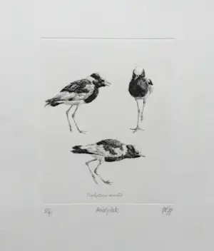 Peter Vos - ‘Smidsplevier’ - ets - oplage 35 kopen? Bied vanaf 195!