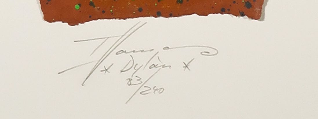 Thomas Hamann - Carborundum op geschept papier, Dylan kopen? Bied vanaf 1!