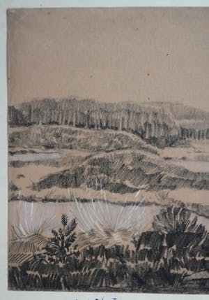 Chris Le Roy - Overasselts ven kopen? Bied vanaf 45!