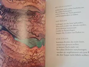 Gunter Grass - Fundsachen für Nichtleser, Buch 239 Seiten kopen? Bied vanaf 20!