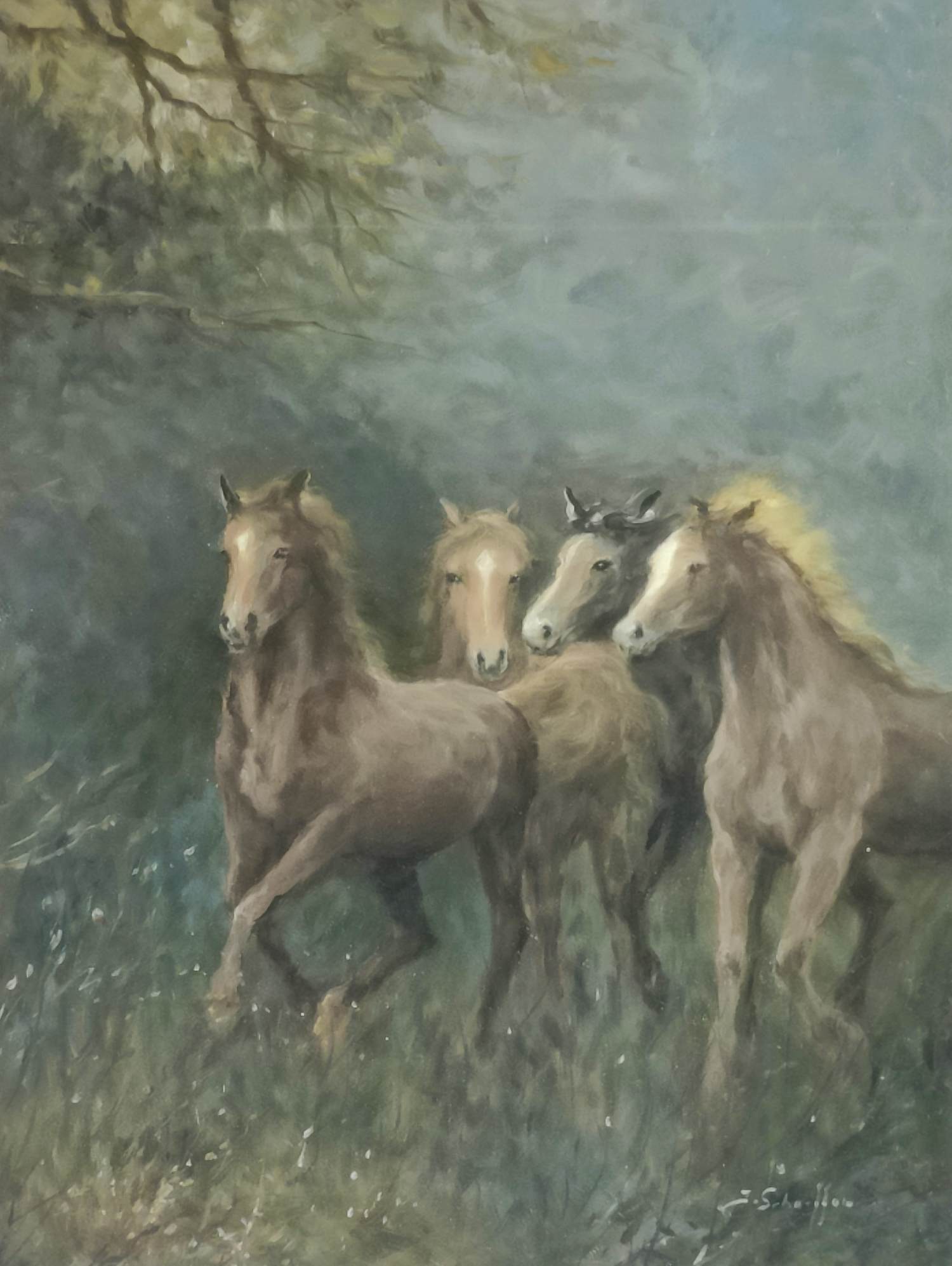 Jan Schaeffer - Groep paarden kopen? Bied vanaf 99!