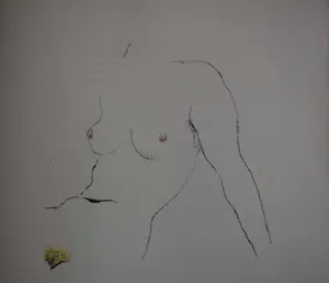 Kees van Dongen - litho - Naaktportret kopen? Bied vanaf 250!