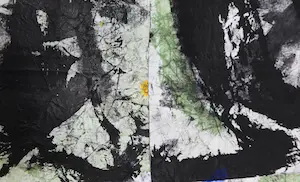 Judith ten Bosch - Drieluik, Tropisch kopen? Bied vanaf 1!