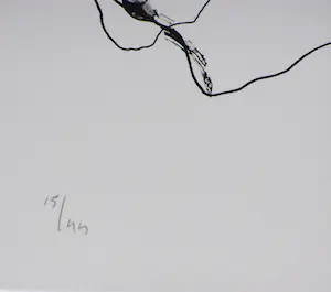 Sam Drukker - Liggend VIII kopen? Bied vanaf 15!