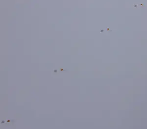 Jos Verwiel - Zeefdruk, Kitrino - Ingelijst (Groot) kopen? Bied vanaf 50!