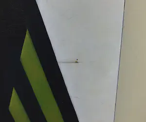 Hans Ensink op Kemna - Acryl op doek, Paard (Zeer groot) kopen? Bied vanaf 1!