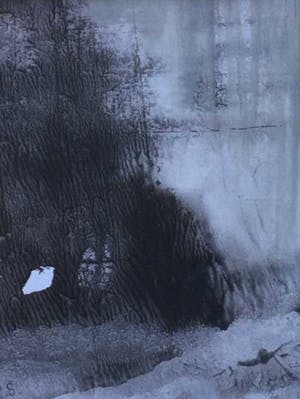 Niet of onleesbaar gesigneerd - C3820-1 - Bosgezicht kopen? Bied vanaf 10!