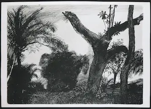 Aat Veldhoen - Rotaprint, Afrikaans landschap kopen? Bied vanaf 40!