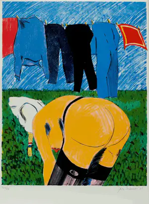 Jan Cremer - Complete portfolio map met 6 gesigneerde litho's - 1975 kopen? Bied vanaf 1799!