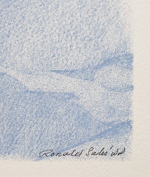 Ronald Sales - Klamboe, litho kopen? Bied vanaf 30!