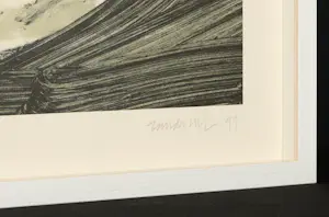 Robert Zandvliet - Exklusives Set : Signierte Litho (gerahmt) & Signiertes Buch kopen? Bied vanaf 890!