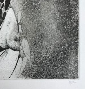 Walter Brems - Gesigneerde ets kopen? Bied vanaf 1!